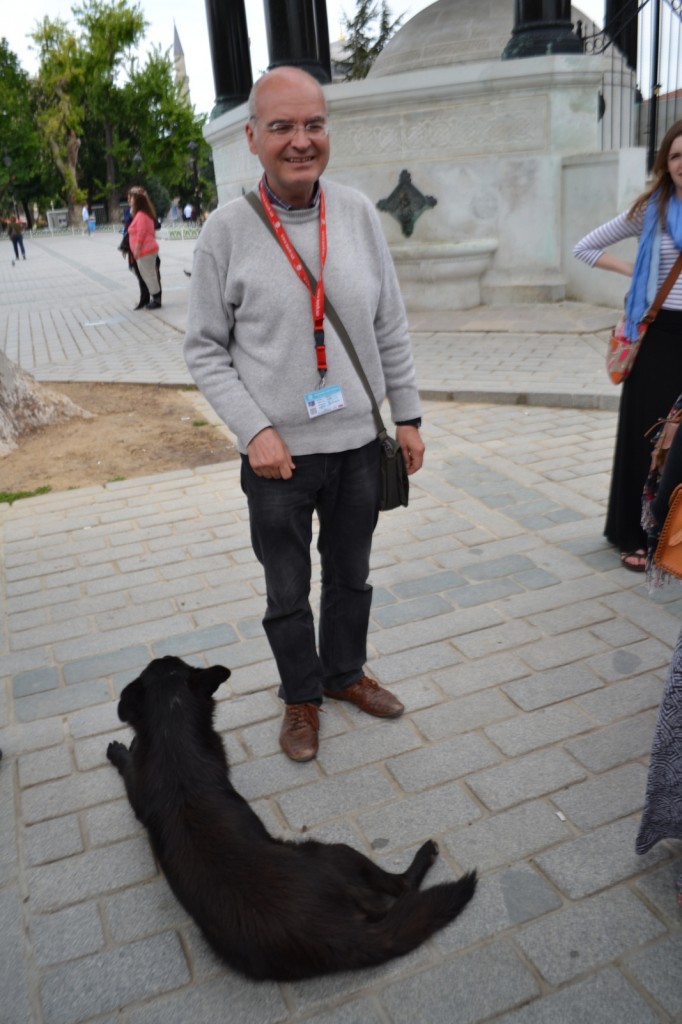 This dog joined our tour group as we strolled from the Hagia Sophia to the Blue Mosque (a treasure trove of mosaics).